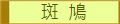 斑  鳩